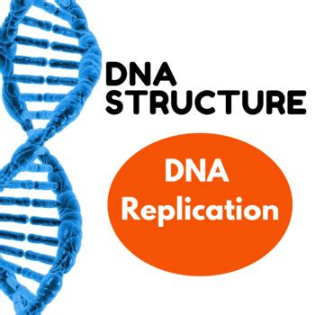 DNA Replication - AP Biology by Lenny Michaell | TPT