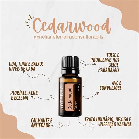 Pin de Anna Aquino em BLENDS E RECEITAS DOTERRA Óleos essenciais