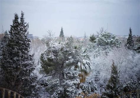 Presencia De Nieve En Chihuahua