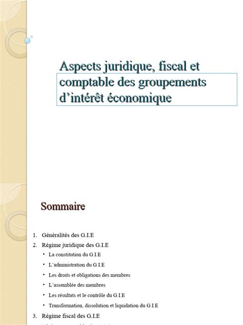 Gie Aspects Comptable Juridique Et Fiscal Pdf Impôts Taxe Sur La