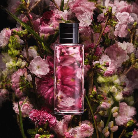 Dior Sakura For Women Eau De Parfum At Nice One Ksa