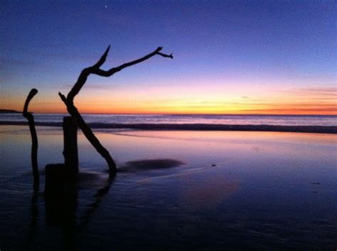 Carmel beach at sunset | Carmel beach, Sunset, Beach