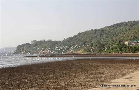 Ladle, Brush & Spade: Murud-Janjira Beach & Fort