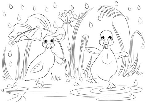 Dibujos Divertidos De Patos Bailando Bajo La Lluvia Para Colorear