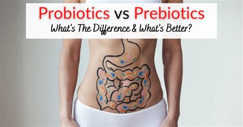 Probiotics vs Prebiotics – What’s The Difference & What’s Better? | Dr. Sam Robbins