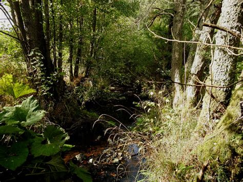 NABU Stiftung Naturerbe NRW und Schirmherrin Bärbel Höhn im Manscheider