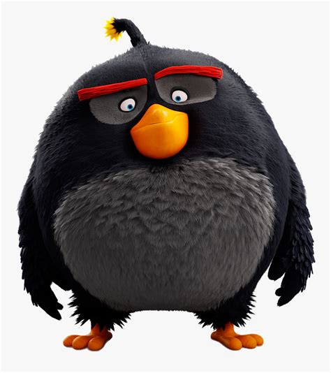 Cartoon Black Angry Bird Cartoon Media