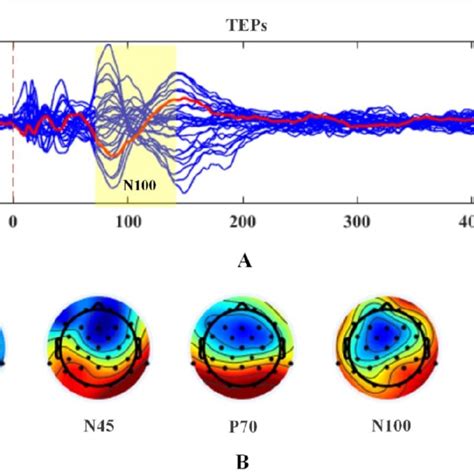 A Tms Evoked Potentials Teps Following Stimulation Over Motor Cortex