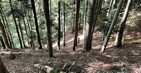 Zweribach Wasserfälle BERGFEX Wanderung Tour Baden Württemberg