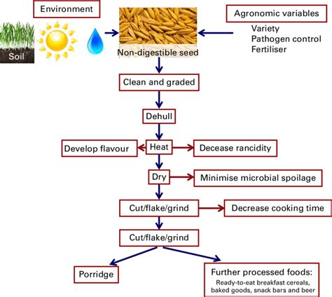 Flow Chart Of Farming Portal Posgradount Edu Pe