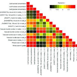 Correlation Analysis Of Sugar Concentrations Expression Levels Of