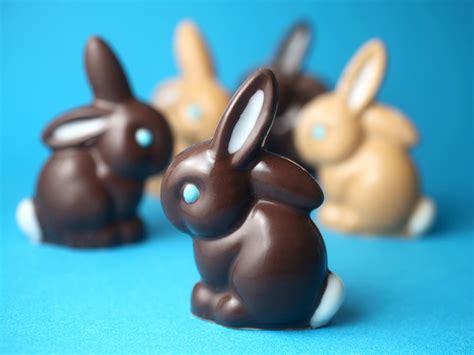 Chocolate Bunnies - Bakerella