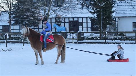 Schlittenfahren Mit Pferd Im Schnee Sturz Vom Schlitten D Youtube