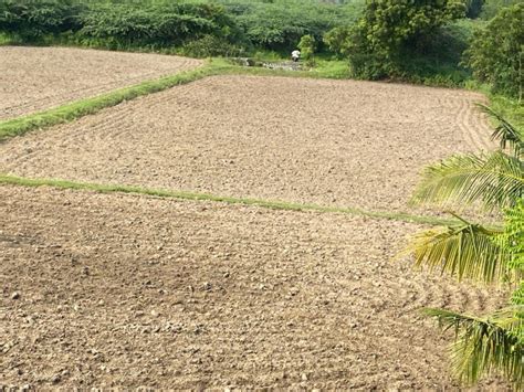 Agricultural Land 2 Acre For Sale In Tindivanam Villupuram REI1206378