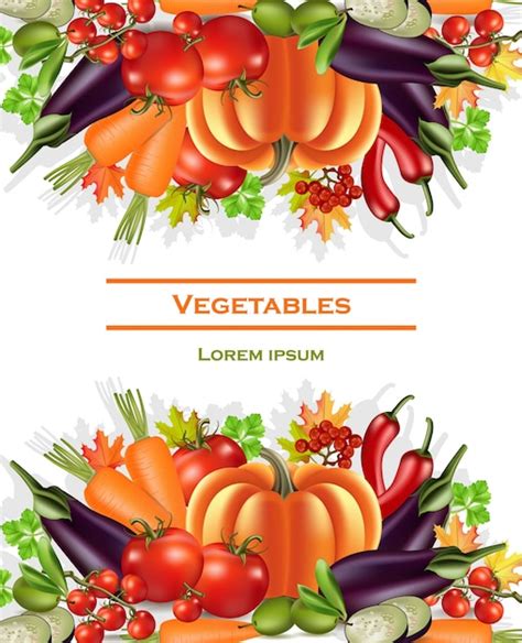 Premium Vector Vegetables Banner Autumn Harvest