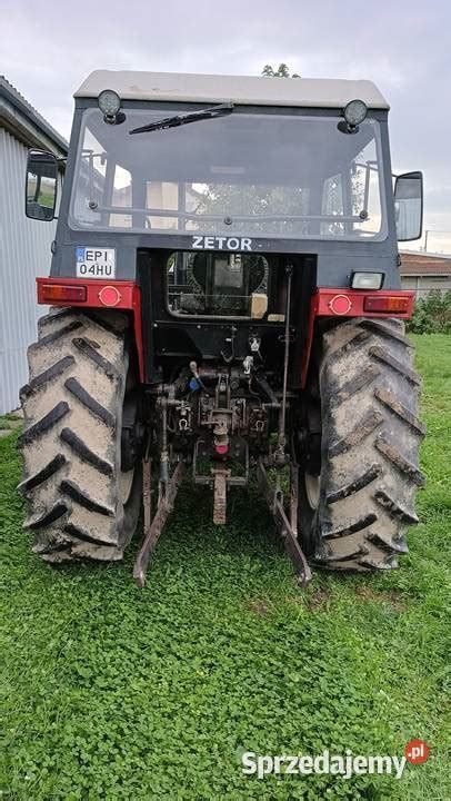 Zetor Piotrk W Trybunalski Sprzedajemy Pl