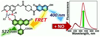 使用基于Cu II 的荧光探针直接按比例检测一氧化氮 Journal of Materials Chemistry B X MOL