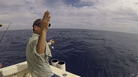 Sports Fishing In Cabo San Lucas Catching Yellow Fin Tuna On The Dream