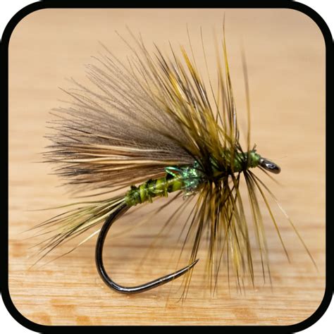 Full Freezer Caddis Troutflies