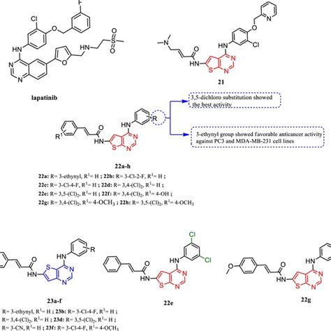 PDF Recent Updates On Thienopyrimidine Derivatives As Anticancer Agents