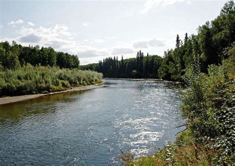 Chena River State Recreation Area - Alchetron, the free social encyclopedia