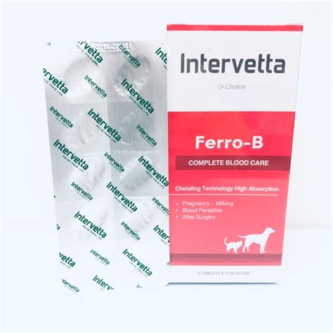 Ferro b บำรุงเลือดสำหรับแมวและสุนัข 100 เม็ด หมดอายุ 02/23 | Shopee ...