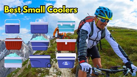 Best Small Coolers Top 15 Of 2023