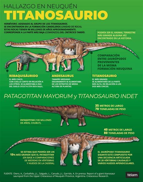 Encontraron Los Restos De Un Dinosaurio Que Podría Ser El Más Grande De La Historia Infoberisso