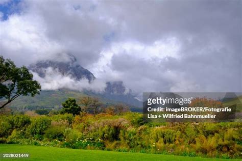 60 Jonkershoek Nature Reserve Stock Photos, High-Res Pictures, and Images - Getty Images