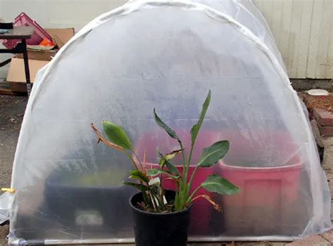 13 Cheap Diy Greenhouse Plans Off Grid World