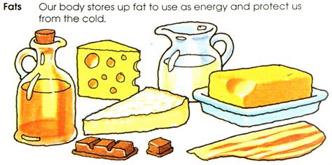 Fats And Oils Foods