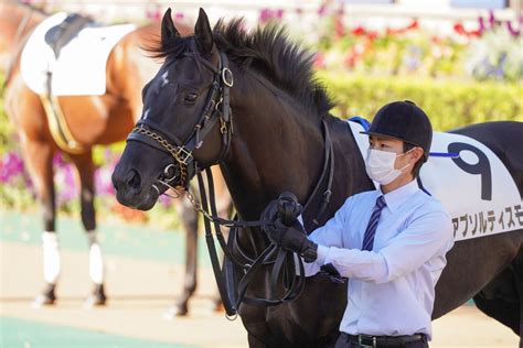 【競馬pog】ノーザン関係者「ダイワメジャー最高傑作アブソルティスモはレイデオロをはるかに超える化物」 うま速競馬まとめ速報