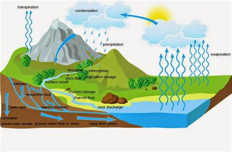 The Drainage Basin Hydrological Cycle As Geography