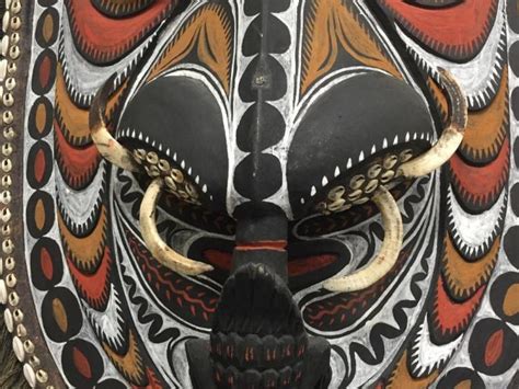 Large Papua New Guinea Mask Shield With Cassowary Feathers