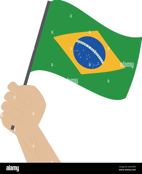 Mano Sosteniendo Y Elevando La Bandera Nacional De Brasil Imagen Vector