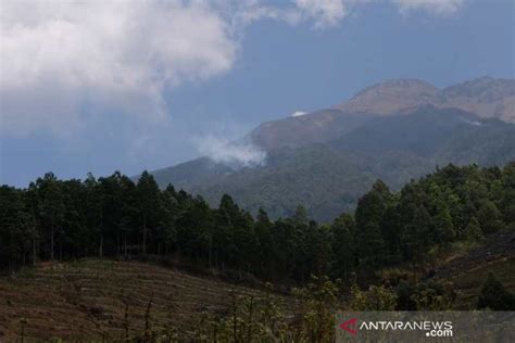 5 5 Hektare Lahan Hutan Lereng Gunung Sumbing Terbakar ANTARA News