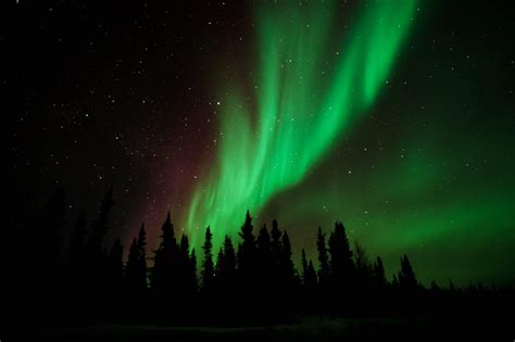 Yellowknife Northern Lights Package | Shelly Lighting