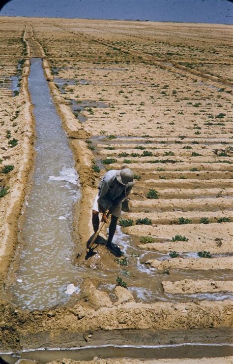 Ancient Mesopotamian Irrigation System