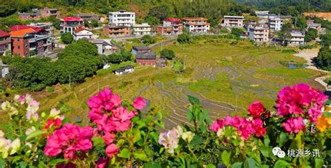 【美了乡村兴了永春】永春这10个美丽乡村示范村和5个精品村，你更看好谁呢 建设