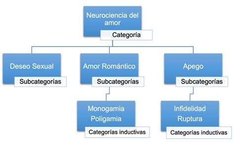 CÓMO DETERMINAR LAS CATEGORÍAS DE ANÁLISIS O LAS VARIABLES DE MI