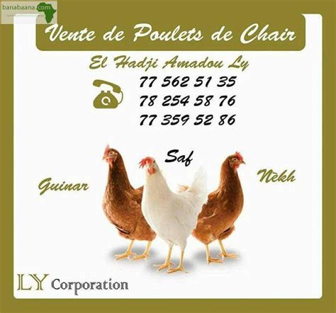 Achat Vente Animaux Vente Poulets De Chair Dakar Banabaana