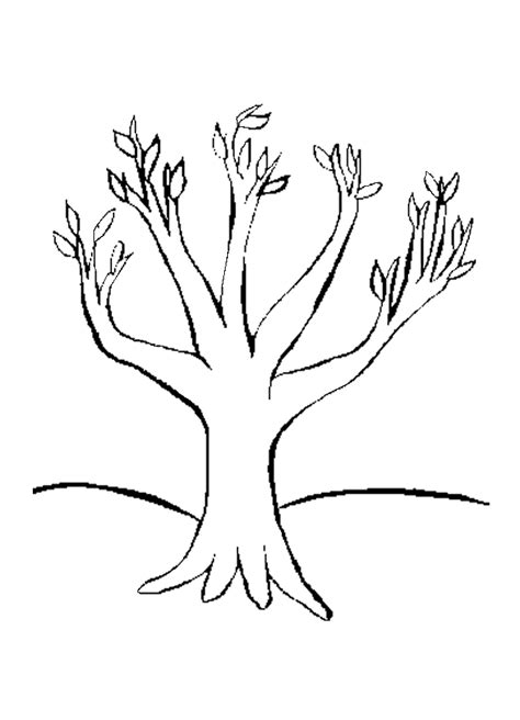 Trees And Leaves Coloring Pages Coloring Home