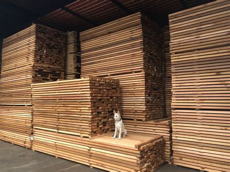 How To Dry Lumber In A Kiln At James Hegg Blog