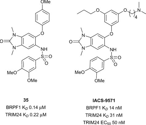 Baz2a Baz2b Inhibitors Fig 16 Dual Trim24 Brpf1 Inhibitors Download Scientific Diagram