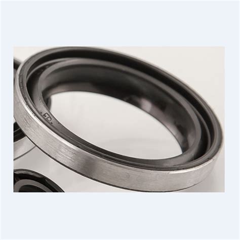 Rubber Double Lip Rotary Shaft Oil Seal Design Gp G Fkm Viton Oil Seals