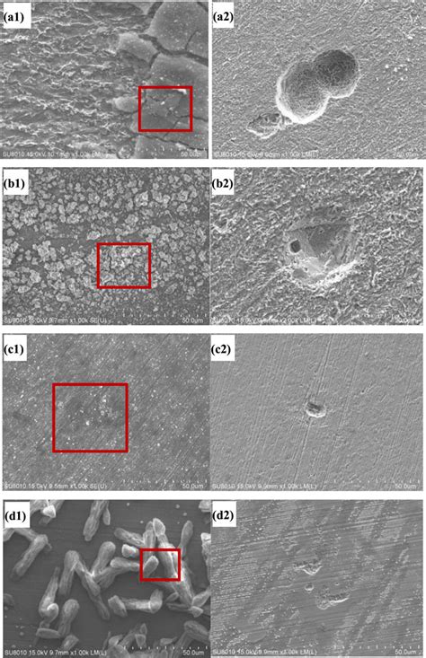 sem images   steel  corrosion products