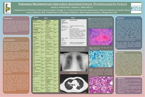 Pdf Pulmonary Mycobacterium Tuberculosis Associated Immune