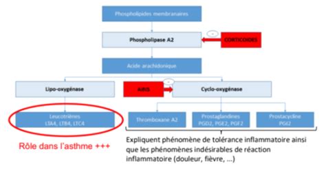 FC1 pharmaco respi Traitements à visée respiratoire Cartes Quizlet