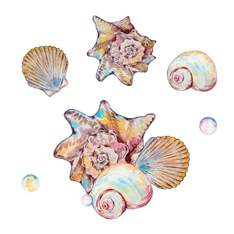 Premium Vector Watercolor Colorful Underwater Life Illustration