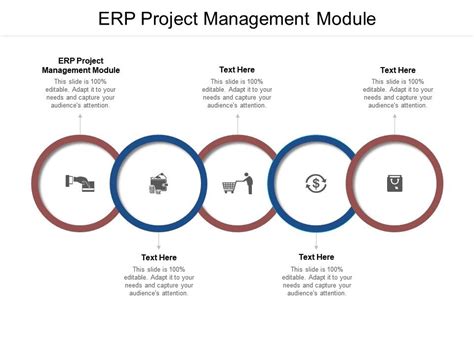 Erp Project Management Module Ppt Powerpoint Presentation Cpb